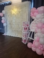 Flower Wall, welcome sign and baby boxes £149